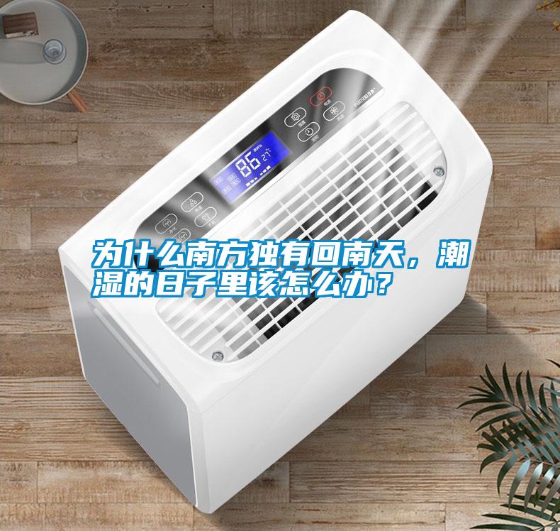 為什么南方獨(dú)有回南天，潮濕的日子里該怎么辦？