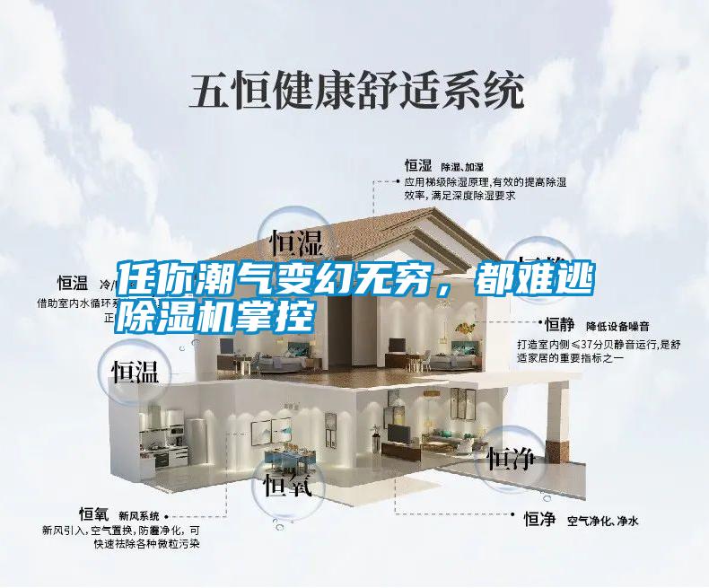 任你潮氣變幻無窮，都難逃除濕機(jī)掌控