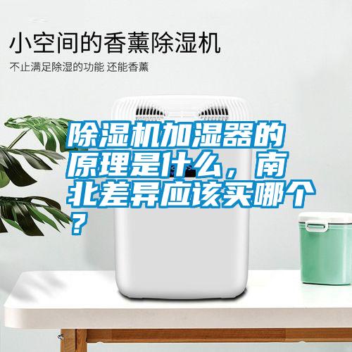 除濕機(jī)加濕器的原理是什么，南北差異應(yīng)該買哪個？