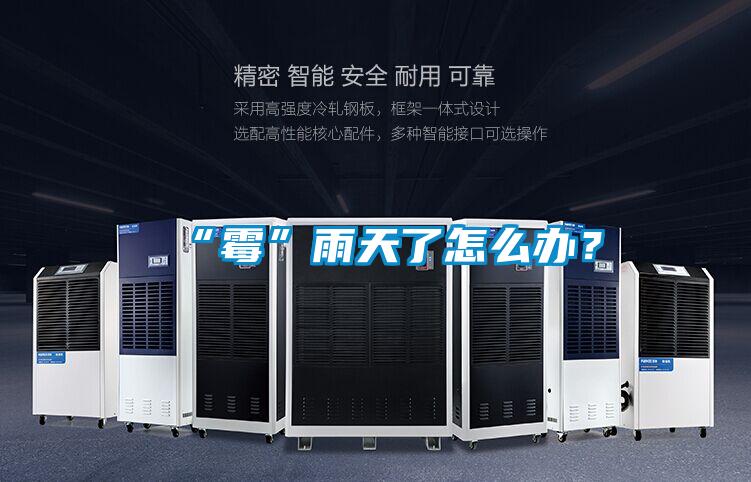 “霉”雨天了怎么辦？