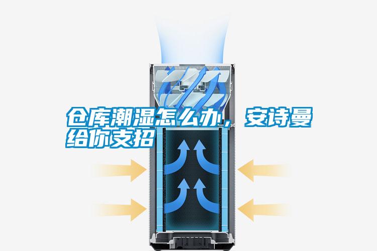 倉(cāng)庫(kù)潮濕怎么辦，安詩(shī)曼給你支招