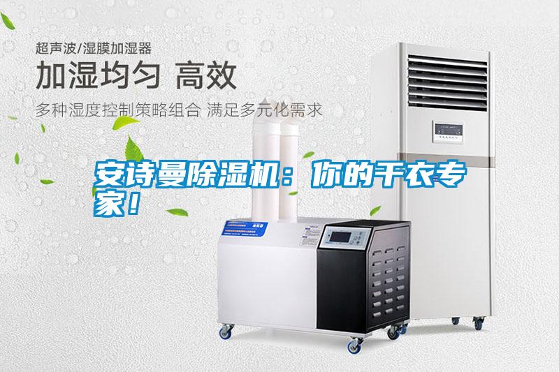 安詩(shī)曼除濕機(jī)：你的干衣專家！