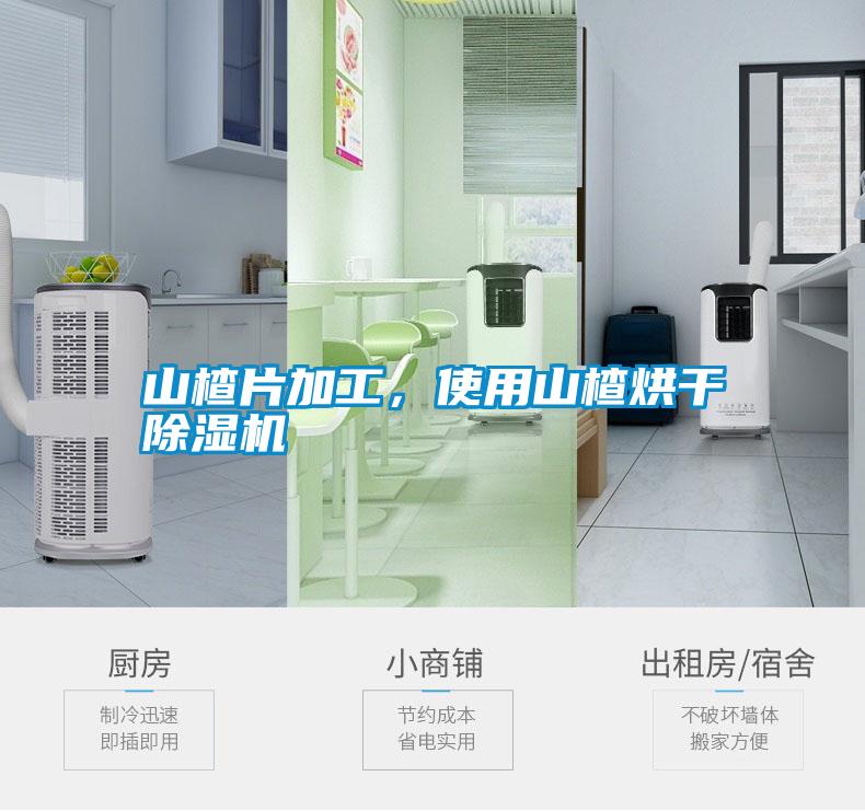 山楂片加工，使用山楂烘干除濕機