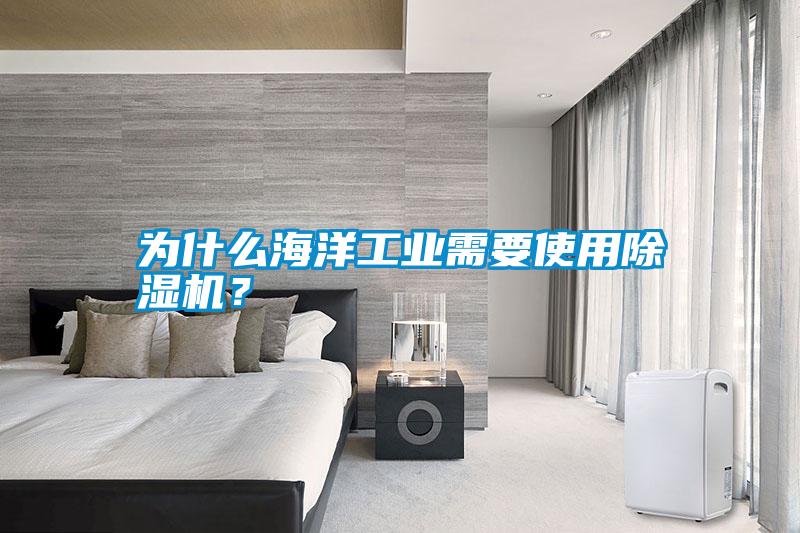 為什么海洋工業(yè)需要使用除濕機？
