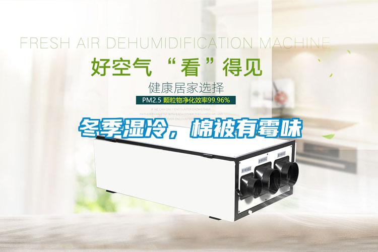 冬季濕冷，棉被有霉味