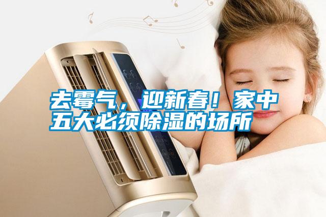 去霉氣，迎新春！家中五大必須除濕的場所