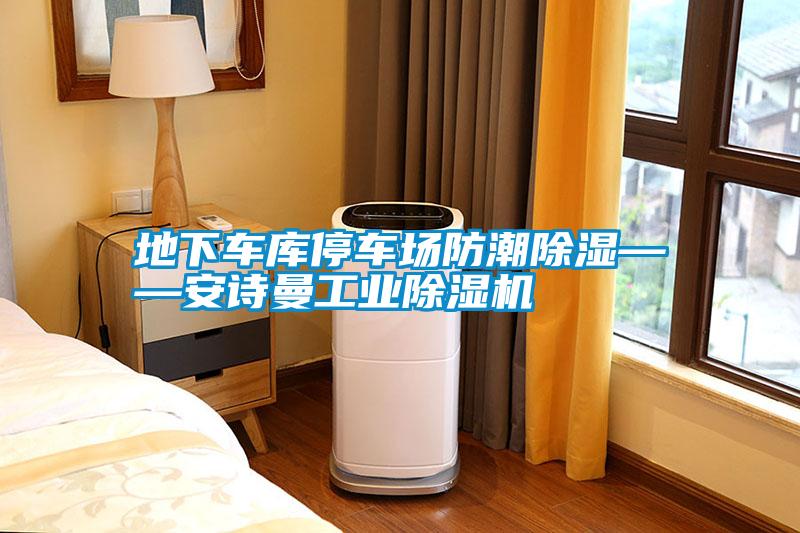 地下車(chē)庫(kù)停車(chē)場(chǎng)防潮除濕——安詩(shī)曼工業(yè)除濕機(jī)