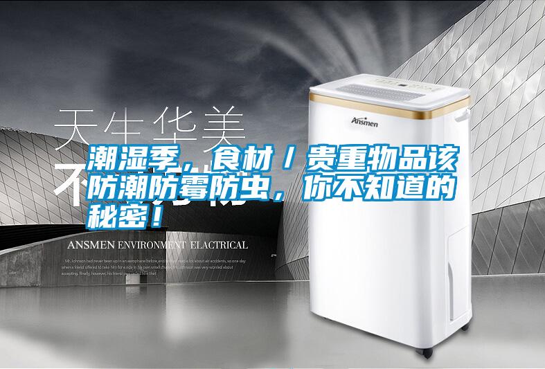 潮濕季，食材／貴重物品該防潮防霉防蟲，你不知道的秘密！