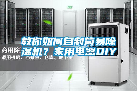 教你如何自制簡易除濕機？家用電器DIY