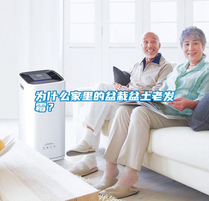 為什么家里的盆栽盆土老發(fā)霉？