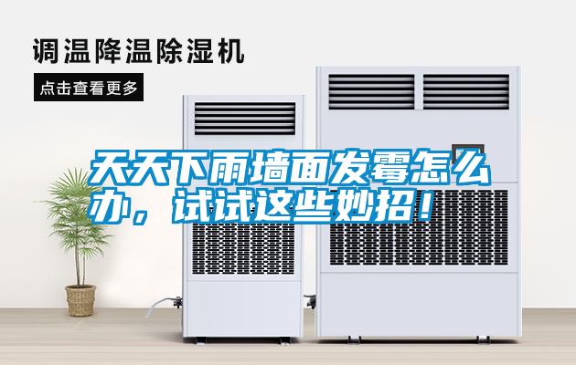 天天下雨墻面發(fā)霉怎么辦，試試這些妙招！
