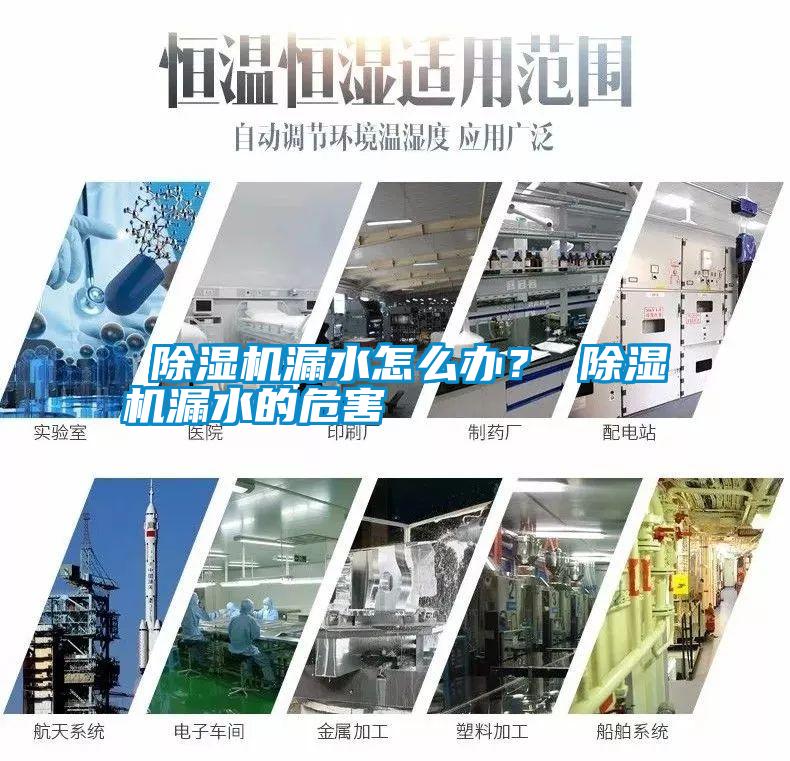  除濕機(jī)漏水怎么辦？ 除濕機(jī)漏水的危害