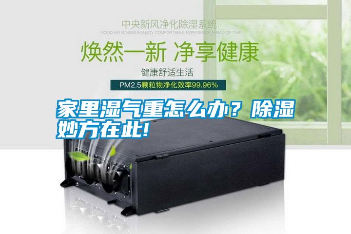 家里濕氣重怎么辦？除濕妙方在此!