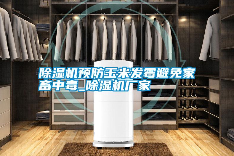 除濕機預防玉米發(fā)霉避免家畜中毒_除濕機廠家