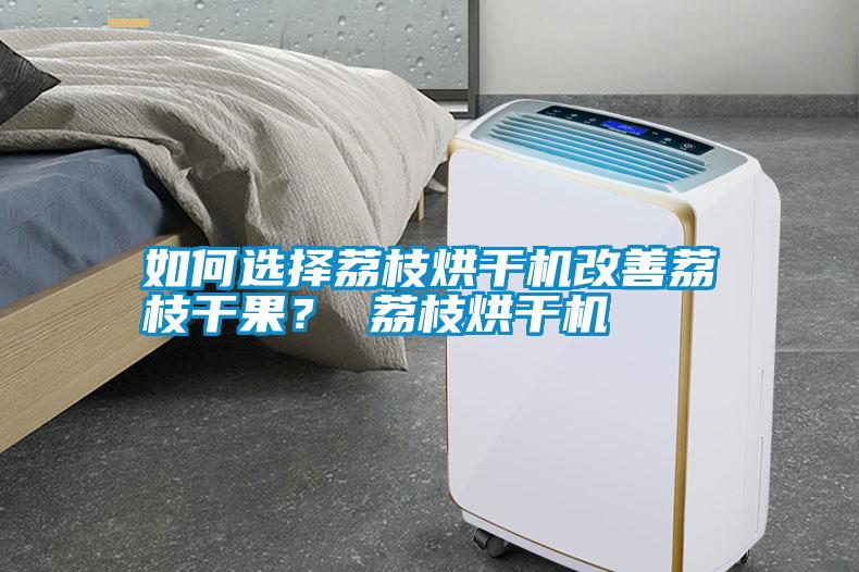 如何選擇荔枝烘干機(jī)改善荔枝干果？ 荔枝烘干機(jī)