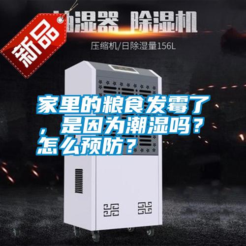 家里的糧食發(fā)霉了，是因?yàn)槌睗駟?？怎么預(yù)防？