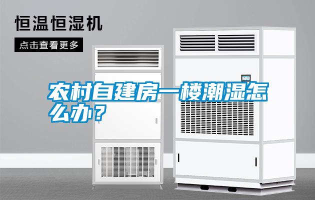 農(nóng)村自建房一樓潮濕怎么辦？