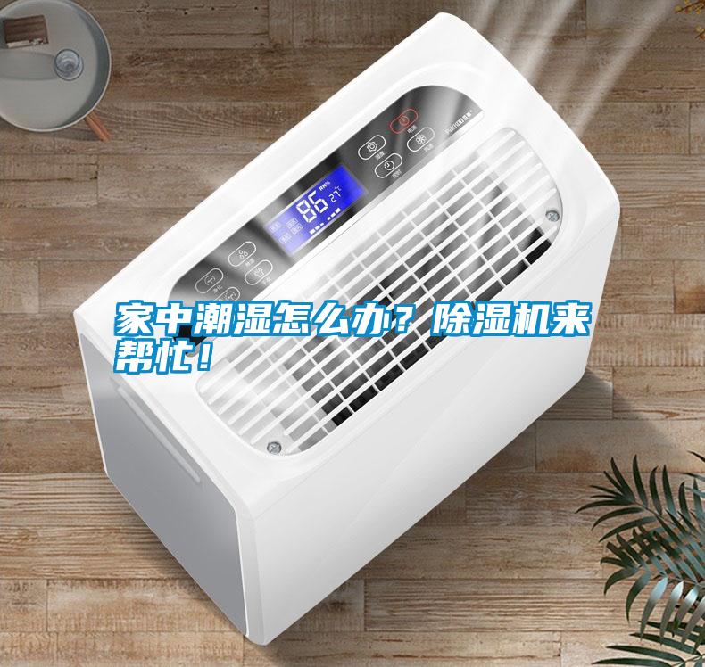 家中潮濕怎么辦？除濕機(jī)來幫忙！