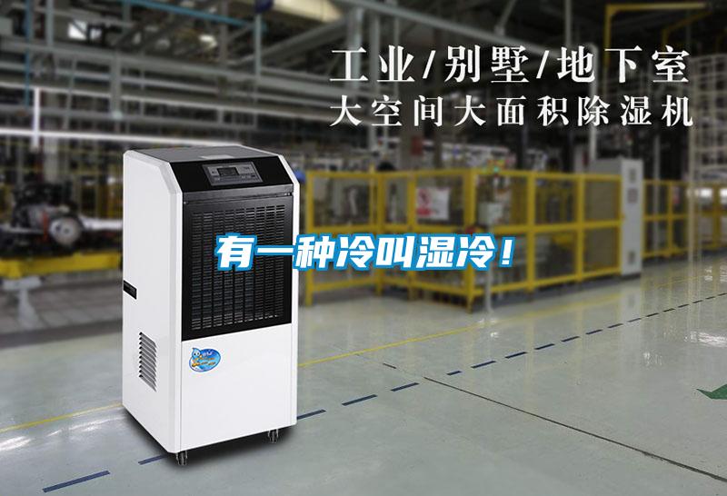 有一種冷叫濕冷！