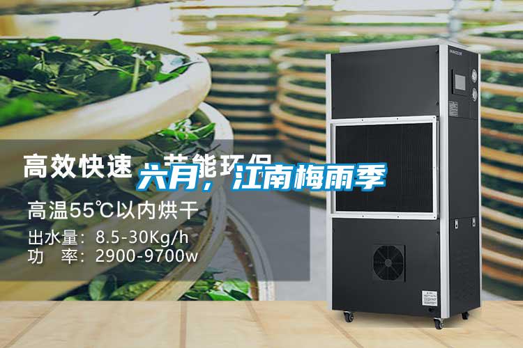 六月，江南梅雨季