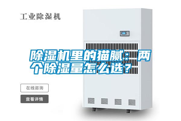 除濕機里的貓膩：兩個除濕量怎么選？