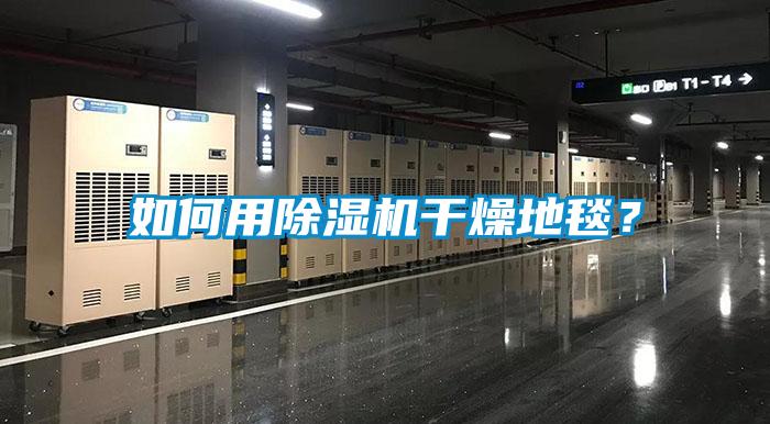 如何用除濕機(jī)干燥地毯？