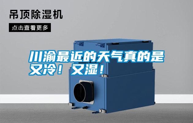 川渝最近的天氣真的是又冷！又濕！