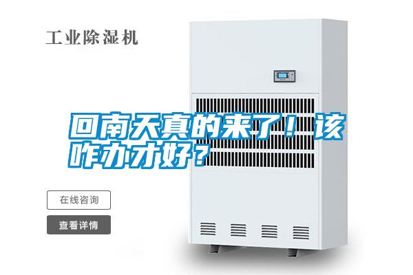回南天真的來了！該咋辦才好？
