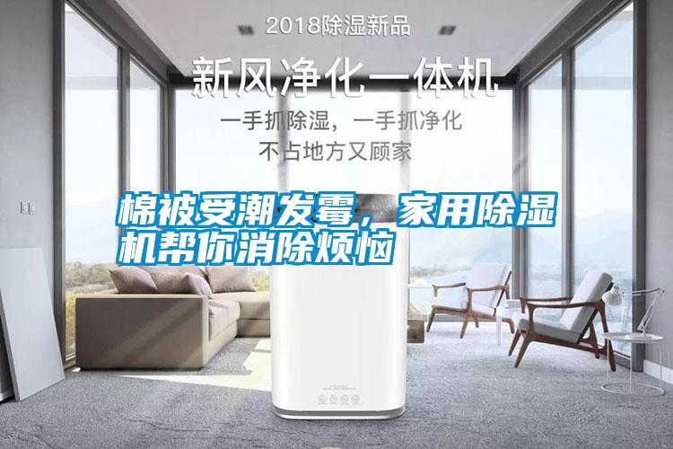 棉被受潮發(fā)霉，家用除濕機(jī)幫你消除煩惱