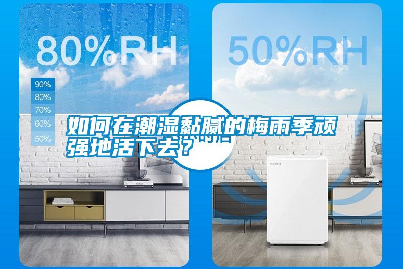 如何在潮濕黏膩的梅雨季頑強(qiáng)地活下去？