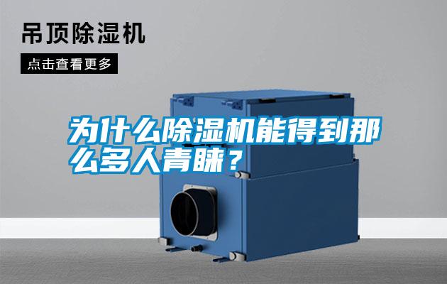 為什么除濕機能得到那么多人青睞？