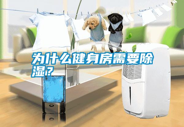 為什么健身房需要除濕？
