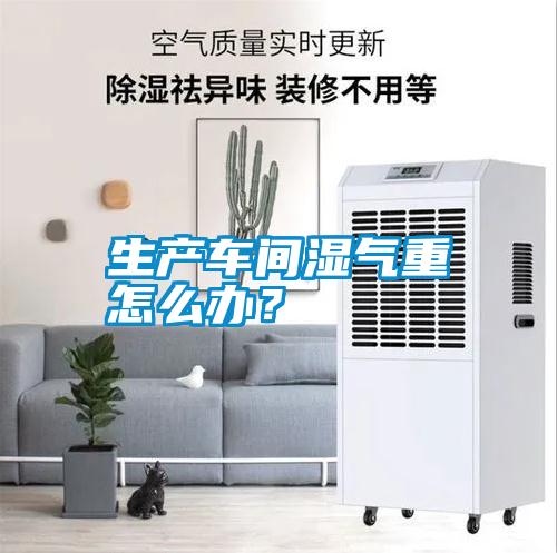 生產(chǎn)車間濕氣重怎么辦？