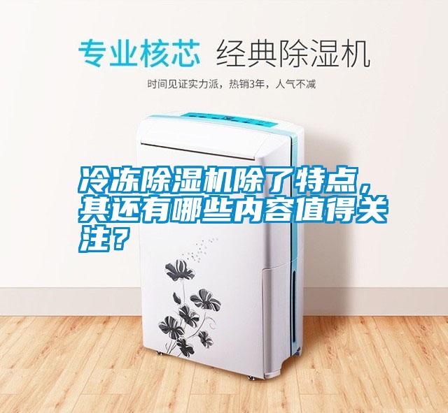 冷凍除濕機(jī)除了特點(diǎn)，其還有哪些內(nèi)容值得關(guān)注？
