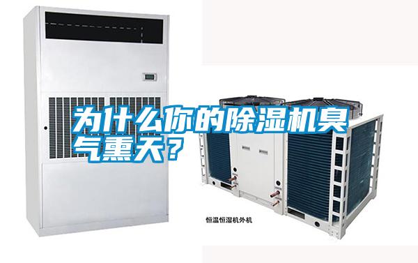 為什么你的除濕機(jī)臭氣熏天？