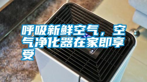 呼吸新鮮空氣，空氣凈化器在家即享受