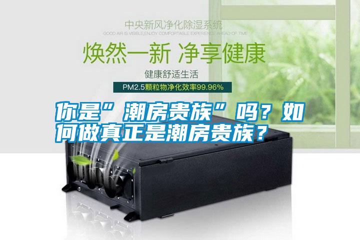 你是”潮房貴族”嗎？如何做真正是潮房貴族？