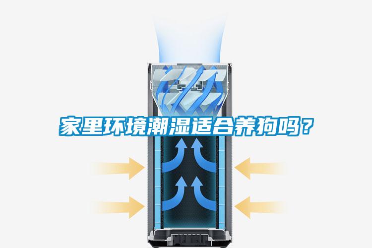 家里環(huán)境潮濕適合養(yǎng)狗嗎？