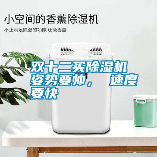 雙十二買(mǎi)除濕機(jī)姿勢(shì)要帥， 速度要快