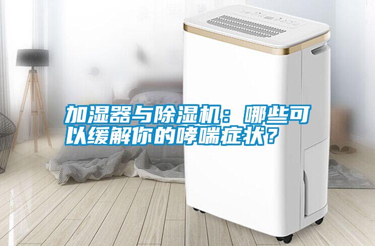加濕器與除濕機(jī)：哪些可以緩解你的哮喘癥狀？