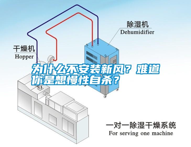為什么不安裝新風(fēng)？難道你是想慢性自殺？