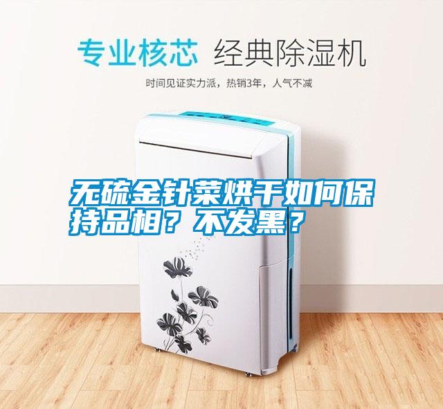 無(wú)硫金針菜烘干如何保持品相？不發(fā)黑？
