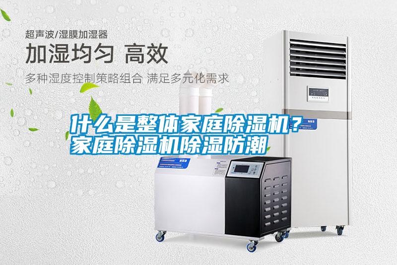 什么是整體家庭除濕機？ 家庭除濕機除濕防潮
