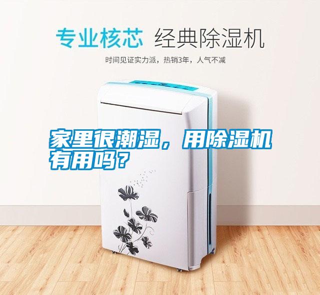 家里很潮濕，用除濕機(jī)有用嗎？