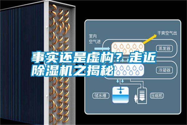 事實還是虛構？走近除濕機之揭秘