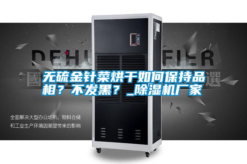 無(wú)硫金針菜烘干如何保持品相？不發(fā)黑？_除濕機(jī)廠家