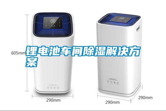 鋰電池車(chē)間除濕解決方案