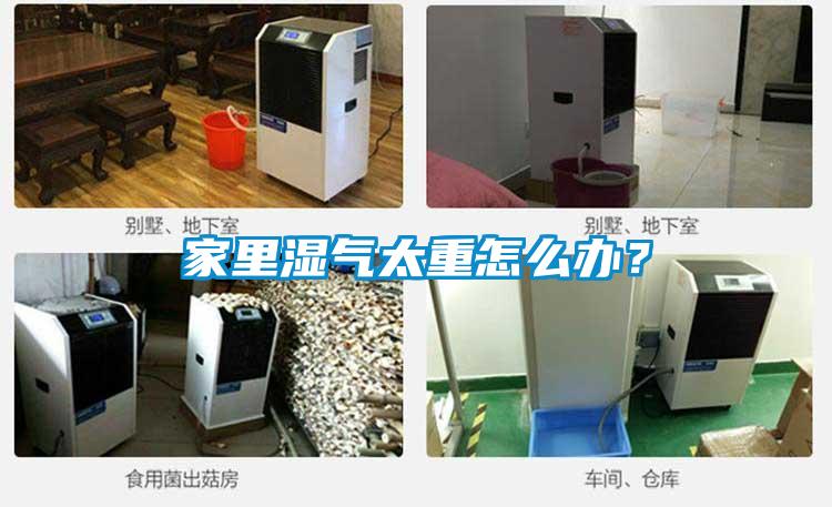 家里濕氣太重怎么辦？