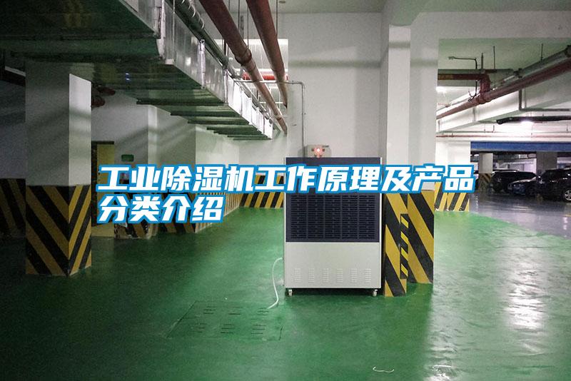 工業(yè)除濕機工作原理及產(chǎn)品分類介紹