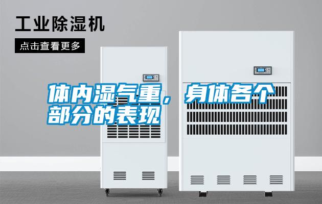 體內(nèi)濕氣重，身體各個(gè)部分的表現(xiàn)